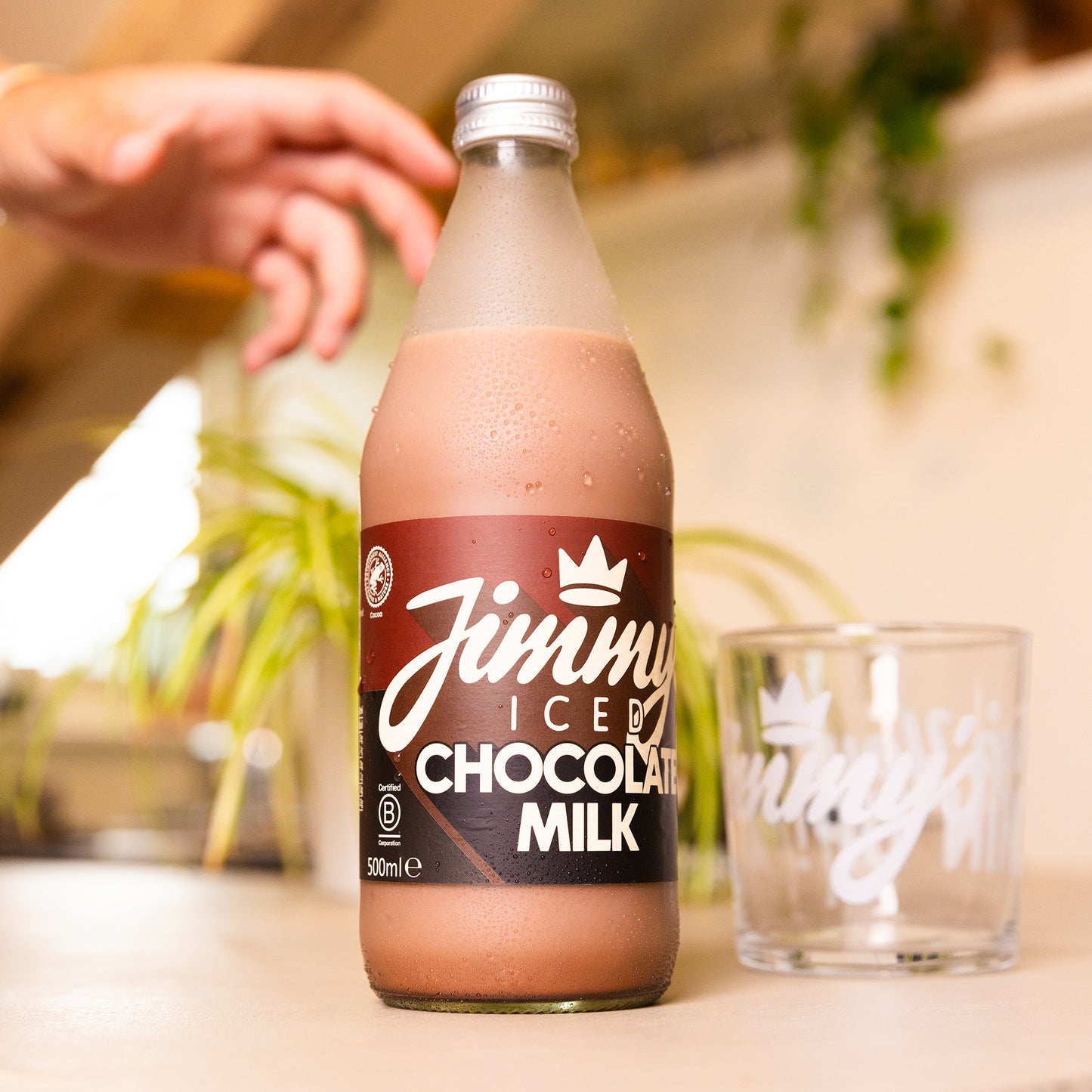 Chocolate Milk